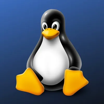 ubuntu